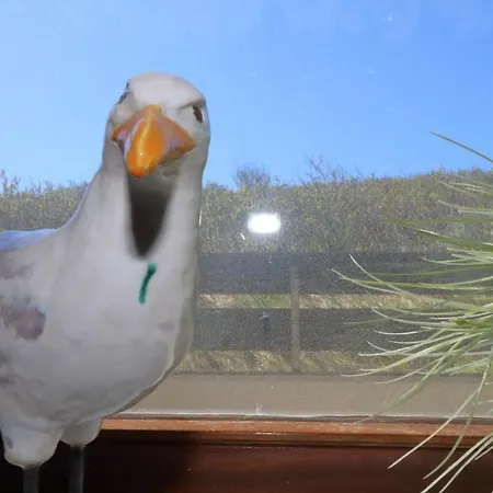 Haus Alice - Becker 36/10